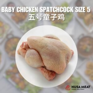 Baby Chicken Spatchcock Size 5