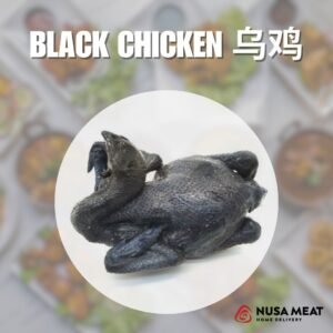 Black Chicken