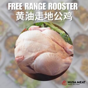 Free Range Chicken Rooster