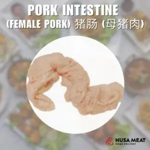 PORK INTESTINE