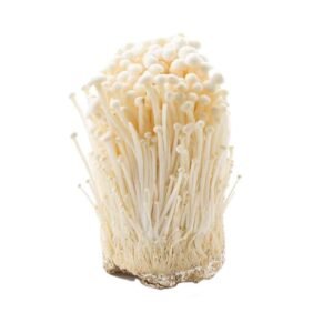 ENOKI /BAG