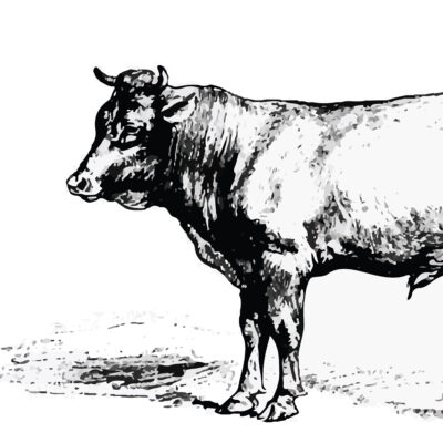 1. WAGYU BEEF 和牛