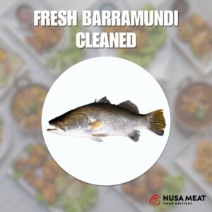 Barramundi