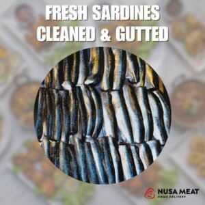 Sardines