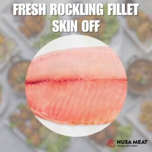 fresh rockling off
