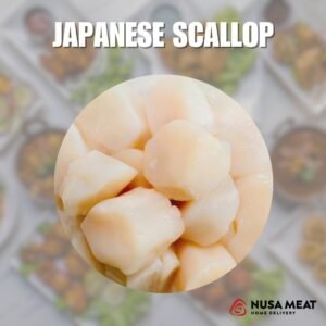 japanese scallop