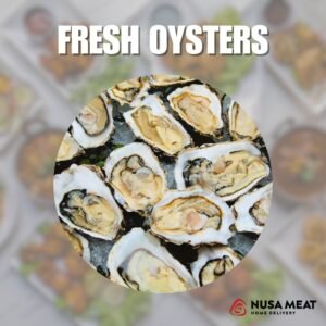 oysters