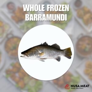 whole frozen barra