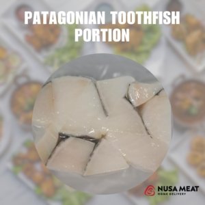 PATAGONIAN TOOTHFISH PORTION 500GR/PACK